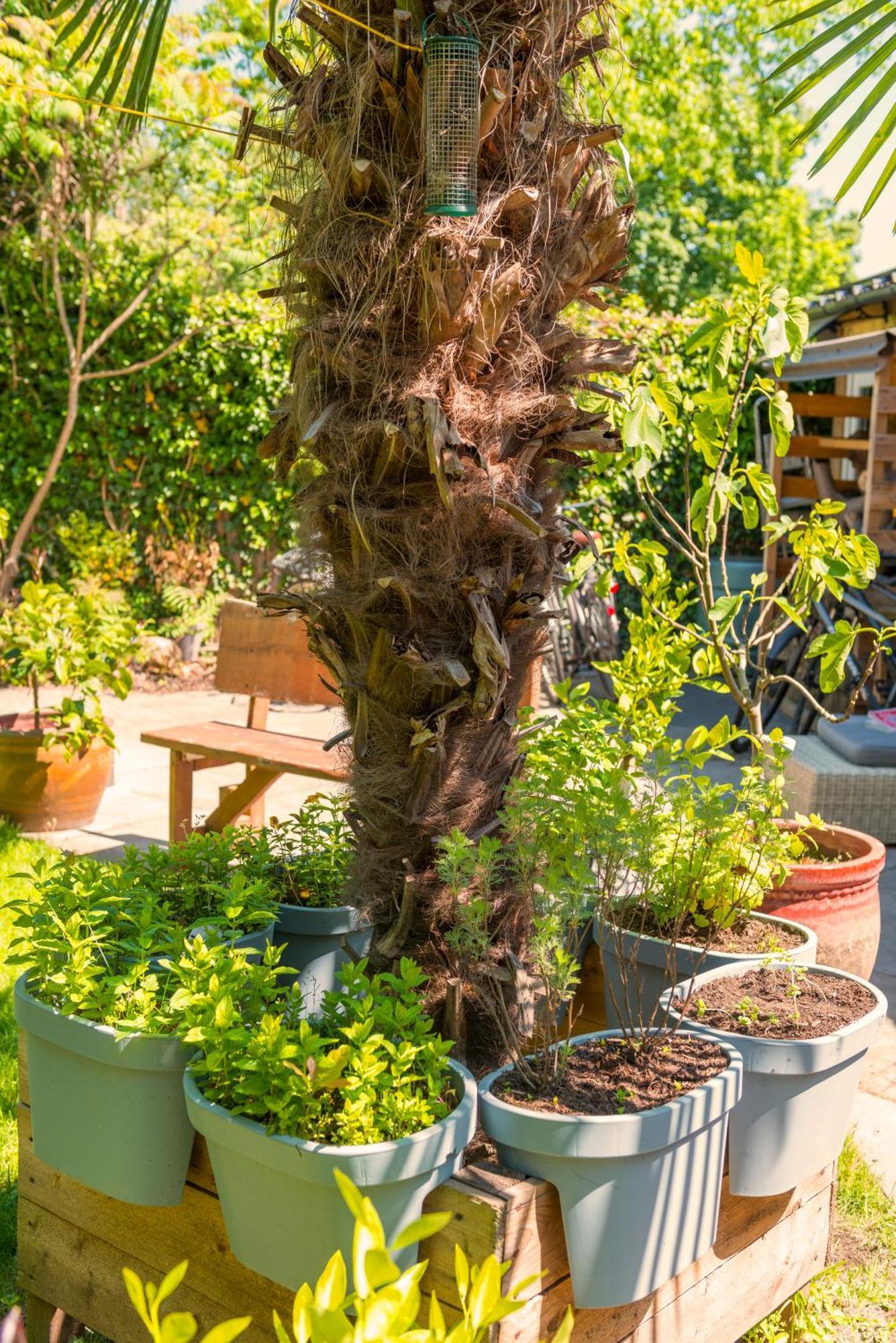 Cozy House - Leenfietsen, Eigen Keuken En Badkamer ไนเมเคิน ภายนอก รูปภาพ